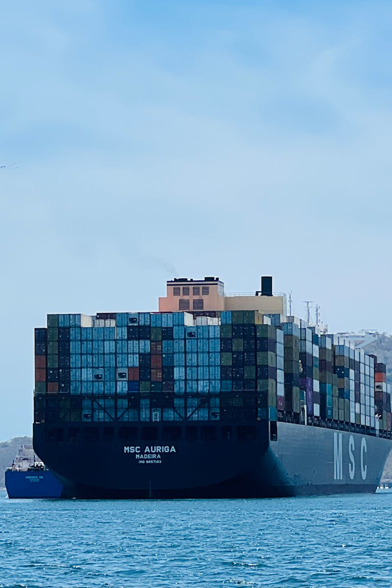 Massive cargo ship MSC Auriga sails through open waters, transporting goods globally.